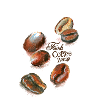 Coffee beans hand drawing vectors 01