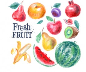 Colored drawn fruits vectors material 01