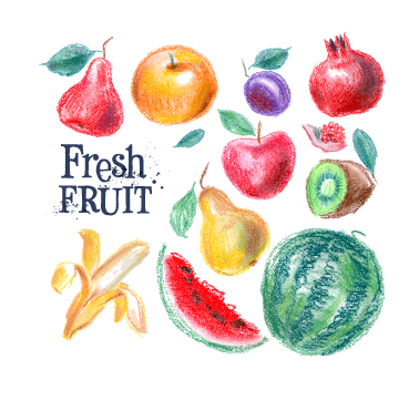 Colored drawn fruits vectors material 01