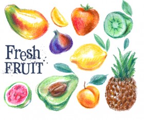 Colored drawn fruits vectors material 02