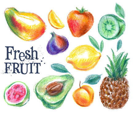 Colored drawn fruits vectors material 02
