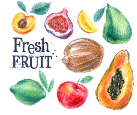 Colored drawn fruits vectors material 03