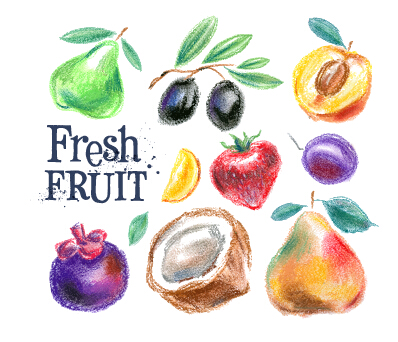 Colored drawn fruits vectors material 04