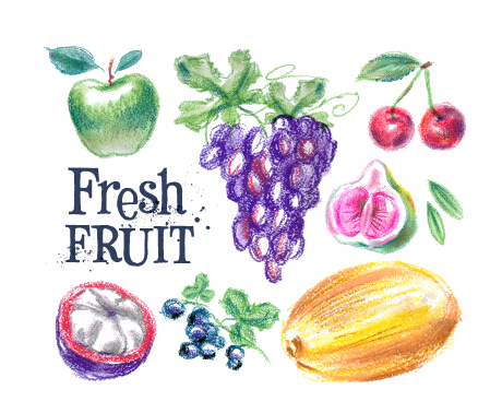 Colored drawn fruits vectors material 05