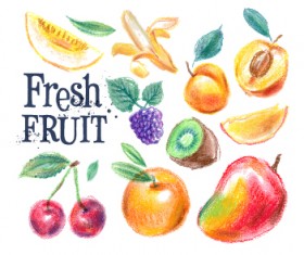 Colored drawn fruits vectors material 06
