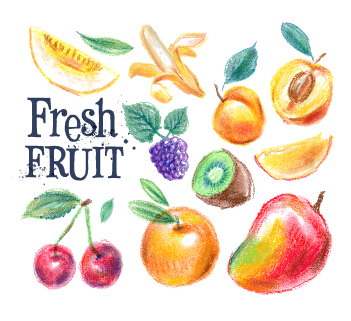 Colored drawn fruits vectors material 06