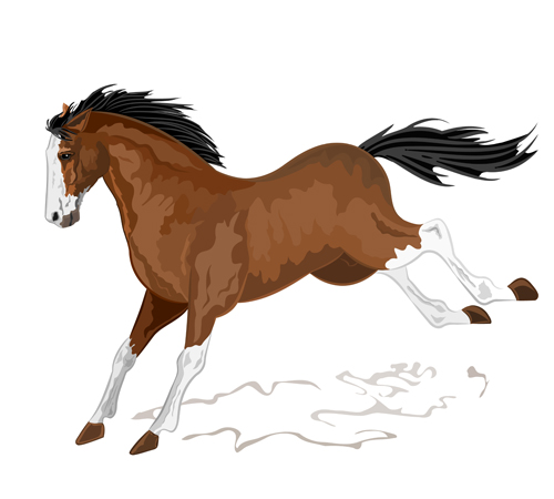 Creative running horse design vector set 10