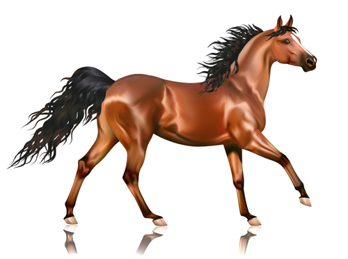 Creative running horse design vector set 11