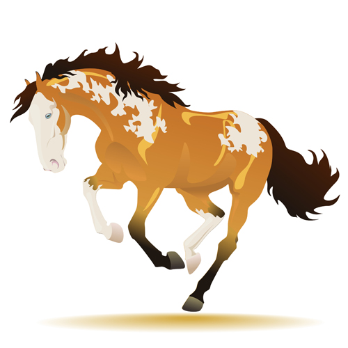Creative running horse design vector set 12