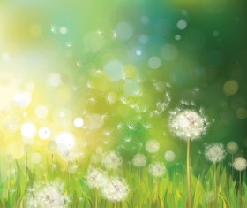 Dandelion and green nature background vector