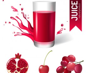 Delicious juice drink design vectors 05
