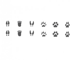 Different animal footprint vector graphics