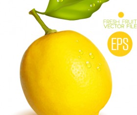 Fresh lemon shiny vector material 01