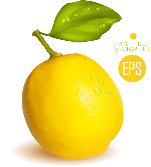 Fresh lemon shiny vector material 01