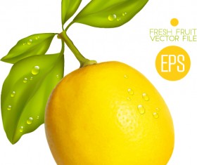 Fresh lemon shiny vector material 02