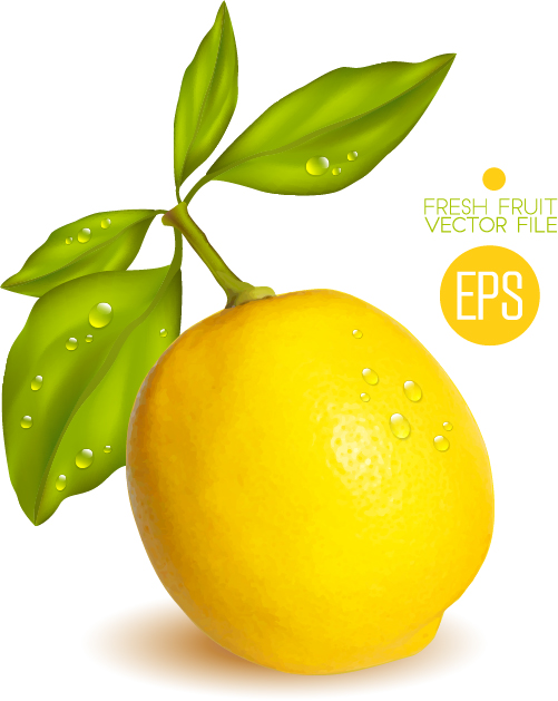 Fresh lemon shiny vector material 02