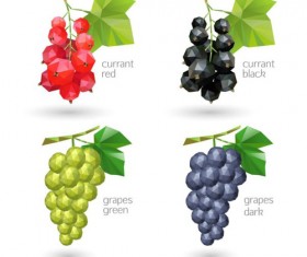 Geometric shapes currant and grapes vector
