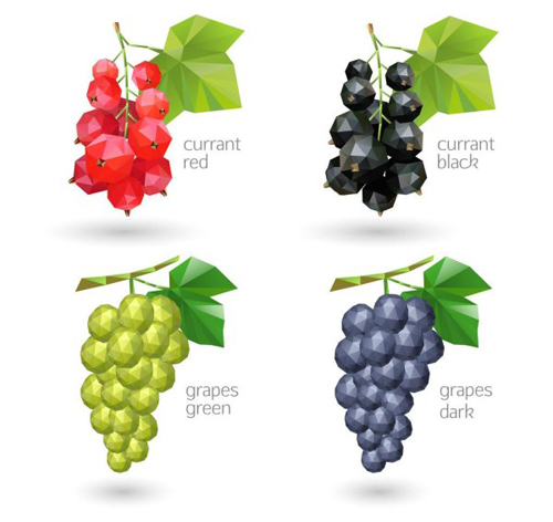 Geometric shapes currant and grapes vector