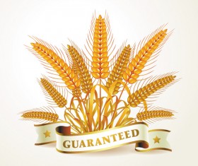 Golden wheat creative background vector 01