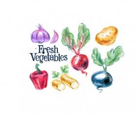 Hand drawn fresh vegetables colored vector 01