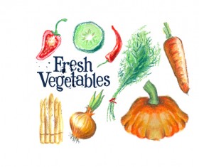 Hand drawn fresh vegetables colored vector 02