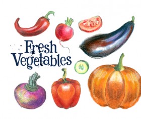 Hand drawn fresh vegetables colored vector 04