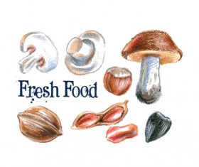 Mushrooms and nuts hand drawn vectors