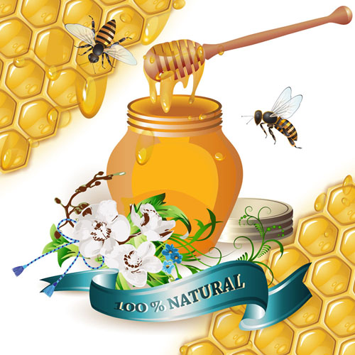 Natural honey creative poster vecor 02