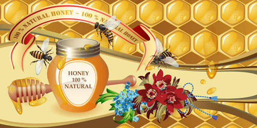 Natural honey creative poster vecor 03