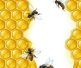 Realistic honey and bees vector graphics