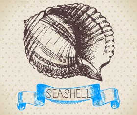 Set of seashell hand drawn vectors material 02