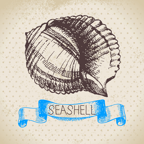 Set of seashell hand drawn vectors material 02
