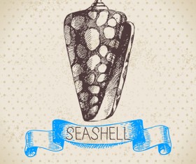 Set of seashell hand drawn vectors material 03