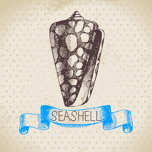 Set of seashell hand drawn vectors material 03