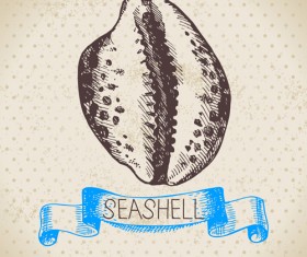 Set of seashell hand drawn vectors material 04
