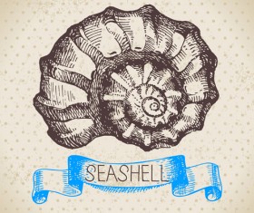 Set of seashell hand drawn vectors material 05
