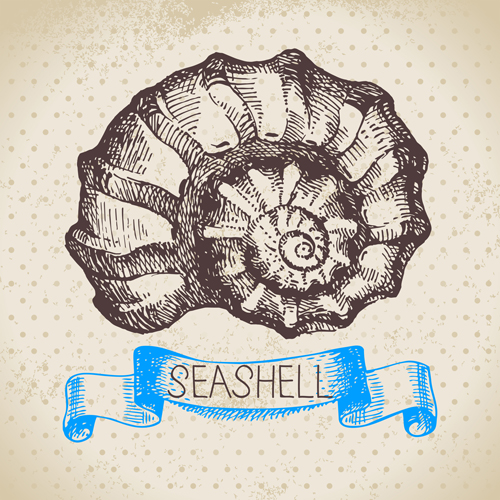 Set of seashell hand drawn vectors material 05