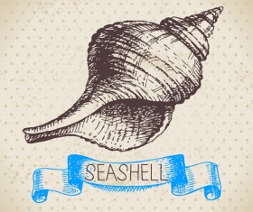 Set of seashell hand drawn vectors material 06