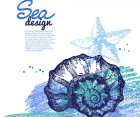 Set of seashell hand drawn vectors material 22