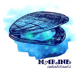 Set of seashell hand drawn vectors material 23