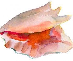 Set of seashell hand drawn vectors material 25