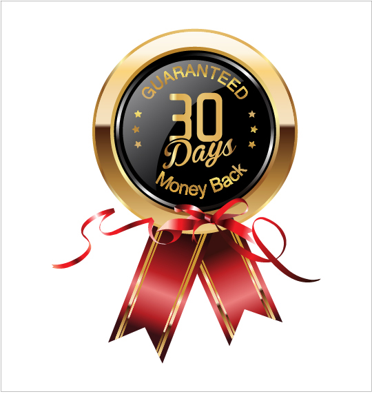Shiny golden badges with red ribbon vectors 04