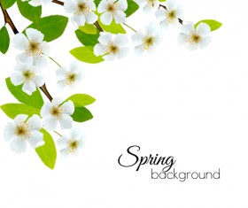 Spring background with white flowers vector