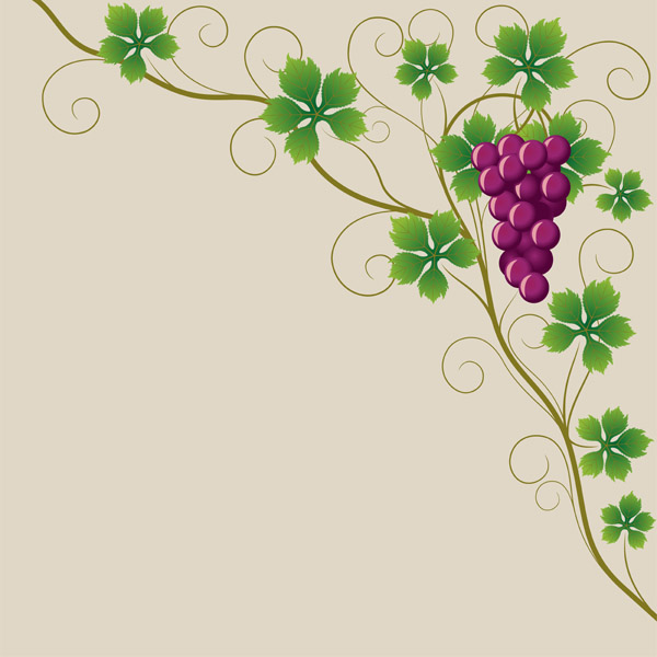 Vector Juicy grapes design graphic set 06
