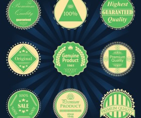 Vintage green quality badge vector