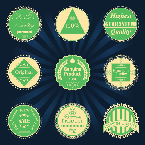 Vintage green quality badge vector