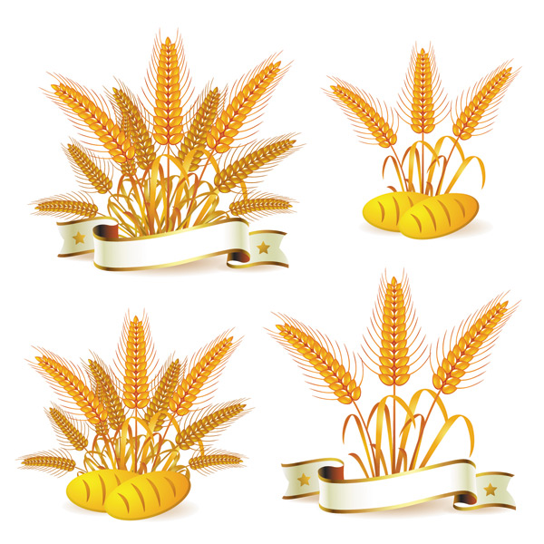 Wheat with bread vector material 02