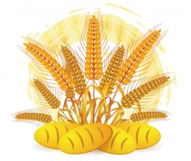 Wheat with bread vector material 03