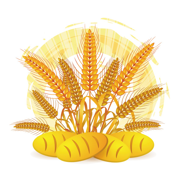Wheat with bread vector material 03
