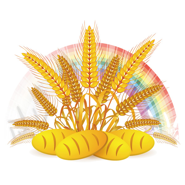 Wheat with bread vector material 04